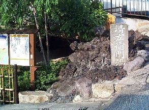 �Z�C�U�G�����̓�